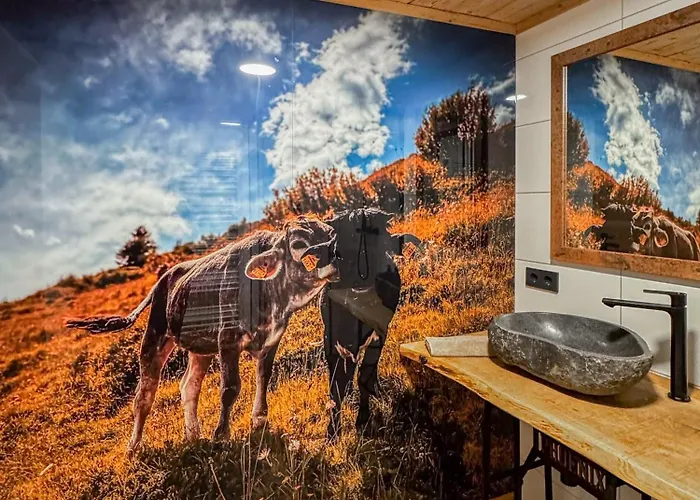 אורחן Peer Alm Navis