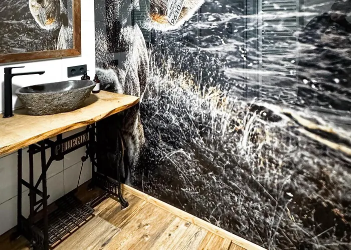 אורחן Peer Alm Navis