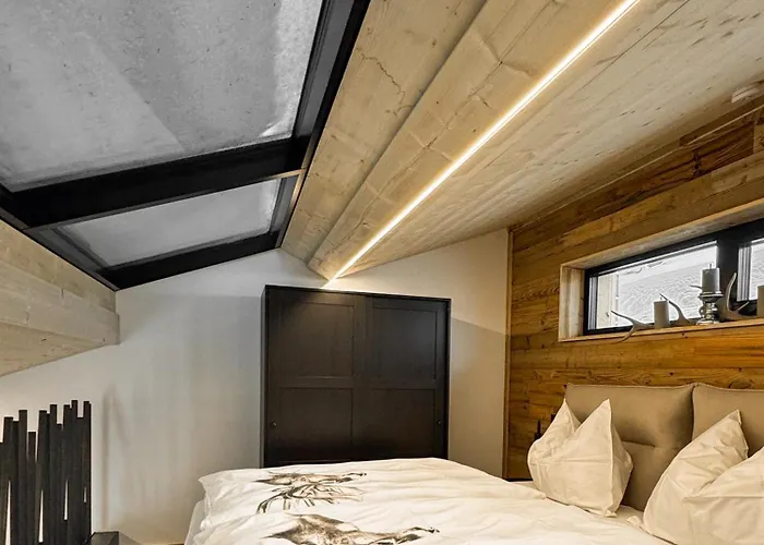 Peer Alm אורחן Navis